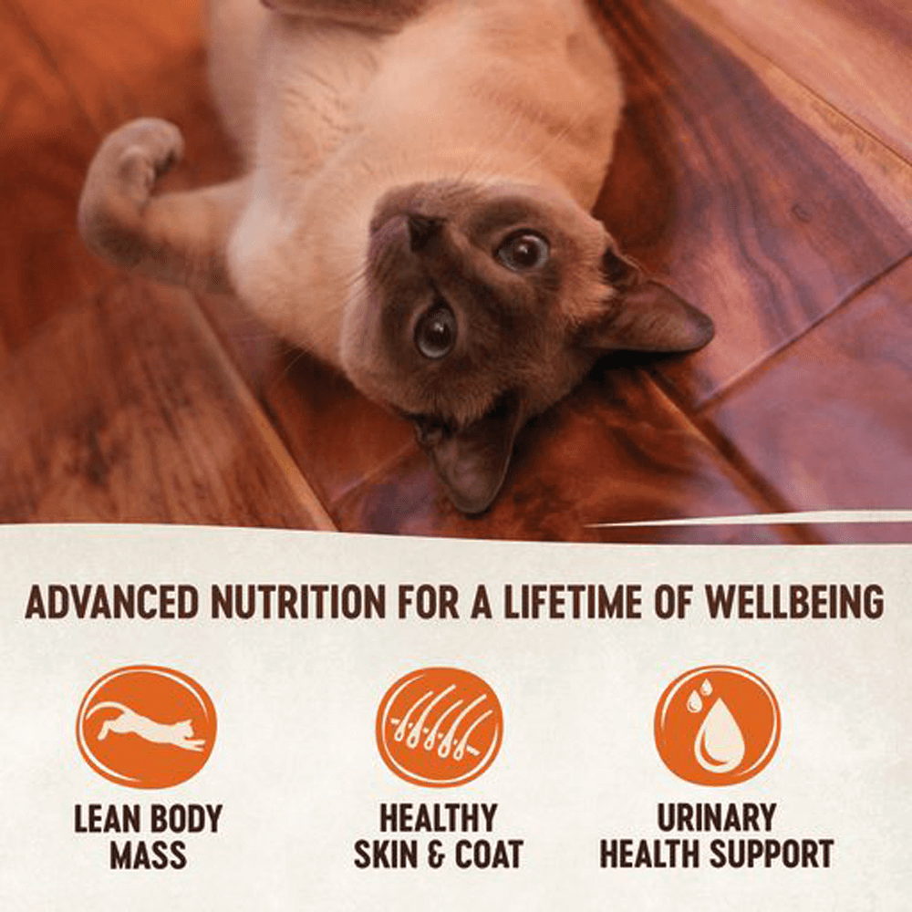 Signature Selects Pate Boneless Chicken And Beef Entree Wet Cat Food 4 Signature Selects Pate Boneless Chicken And Beef Entree Wet Cat Food