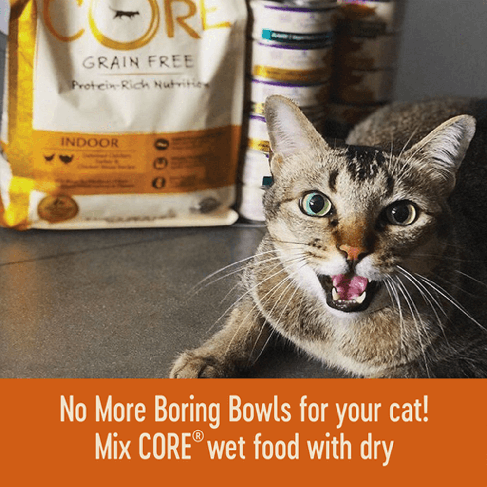Signature Selects Pate Boneless Chicken And Beef Entree Wet Cat Food 6 Signature Selects Pate Boneless Chicken And Beef Entree Wet Cat Food