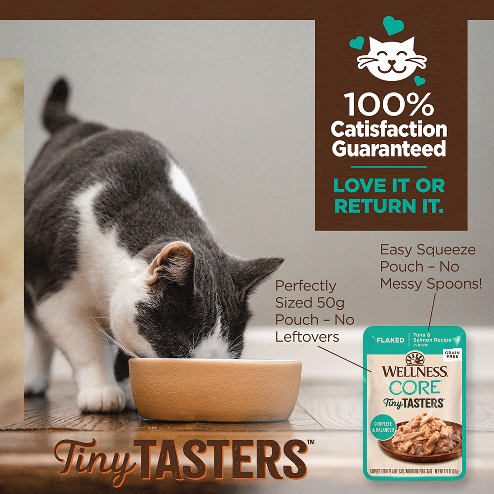 Core Tiny Tasters Flaked Tuna And Salmon In Broth Wet Cat Food 10 Core Tiny Tasters Flaked Tuna And Salmon In Broth Wet Cat Food