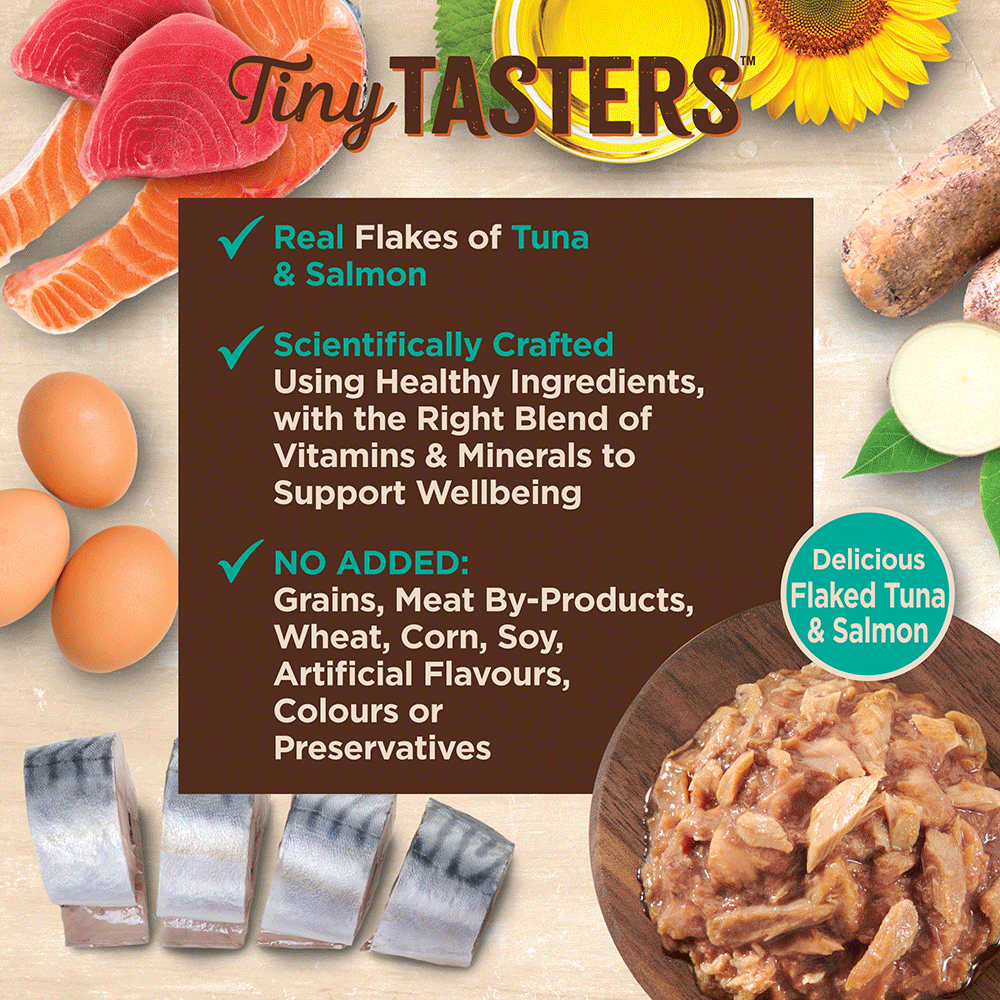 Core Tiny Tasters Flaked Tuna And Salmon In Broth Wet Cat Food 4 Core Tiny Tasters Flaked Tuna And Salmon In Broth Wet Cat Food