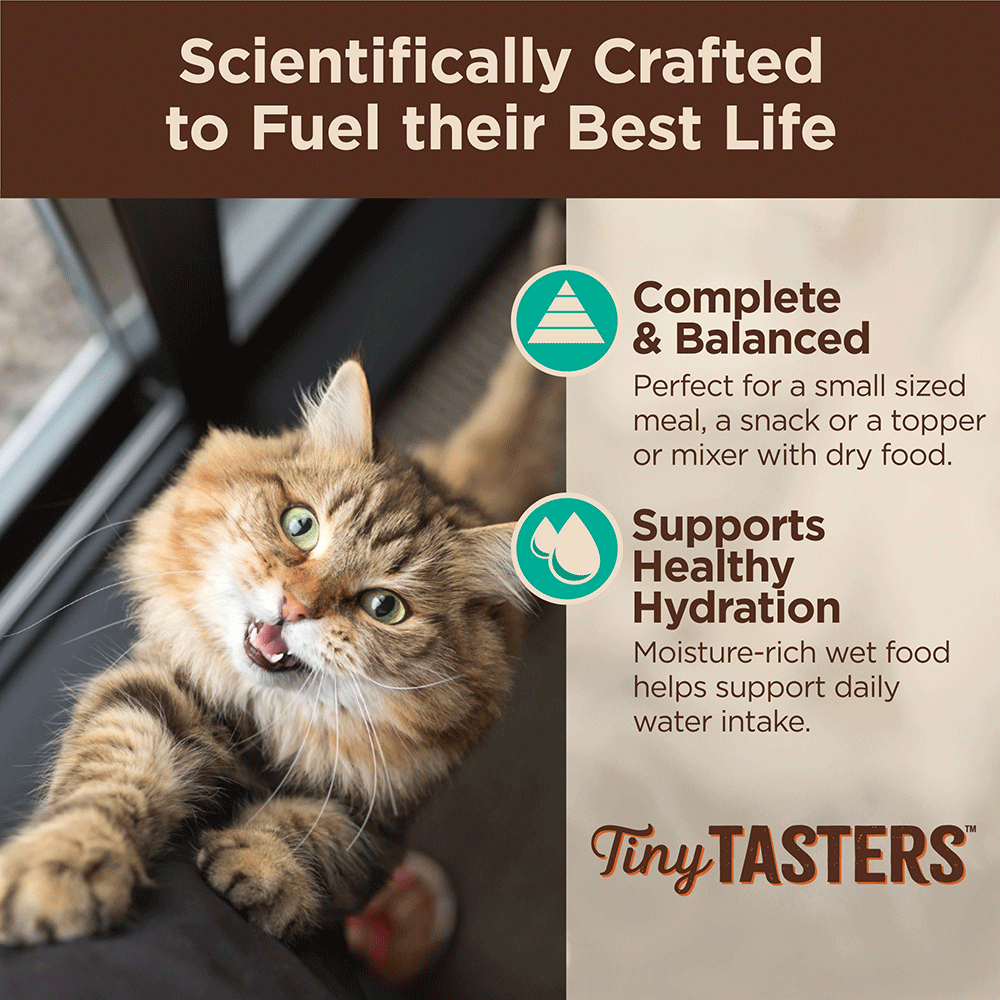 Core Tiny Tasters Flaked Tuna And Salmon In Broth Wet Cat Food 5 Core Tiny Tasters Flaked Tuna And Salmon In Broth Wet Cat Food