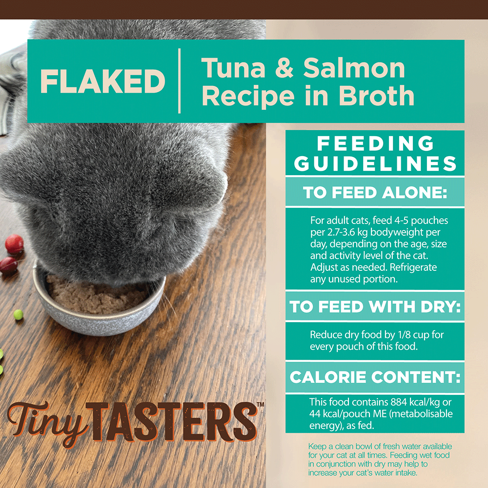 Core Tiny Tasters Flaked Tuna And Salmon In Broth Wet Cat Food 6 Core Tiny Tasters Flaked Tuna And Salmon In Broth Wet Cat Food