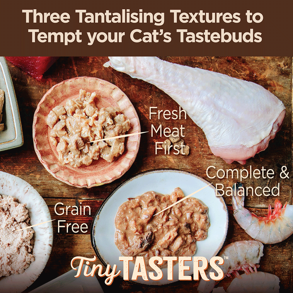 Core Tiny Tasters Flaked Tuna And Salmon In Broth Wet Cat Food 9 Core Tiny Tasters Flaked Tuna And Salmon In Broth Wet Cat Food