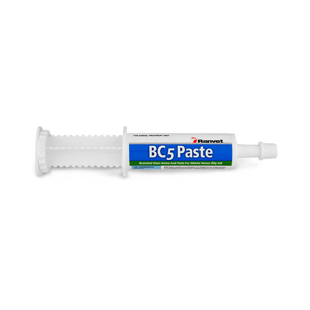 Bc5 Amino Acids Paste
