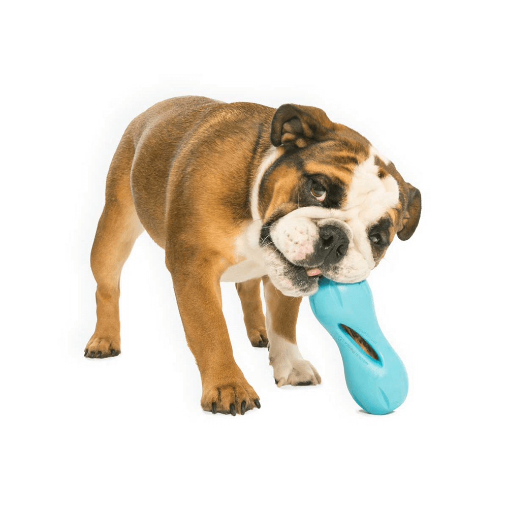 Qwizl Treat Dispensing Dog Toy Blue 2 Qwizl Treat Dispensing Dog Toy Blue