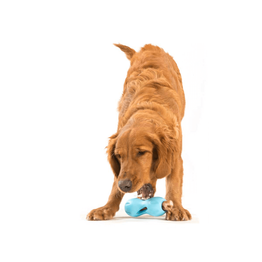 Qwizl Treat Dispensing Dog Toy Blue 3 Qwizl Treat Dispensing Dog Toy Blue