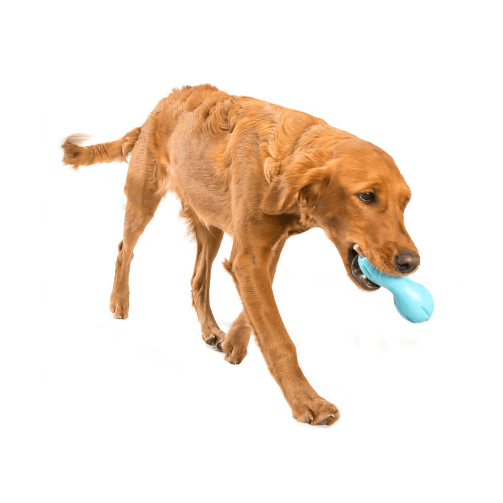 Qwizl Treat Dispensing Dog Toy Blue 4 Qwizl Treat Dispensing Dog Toy Blue