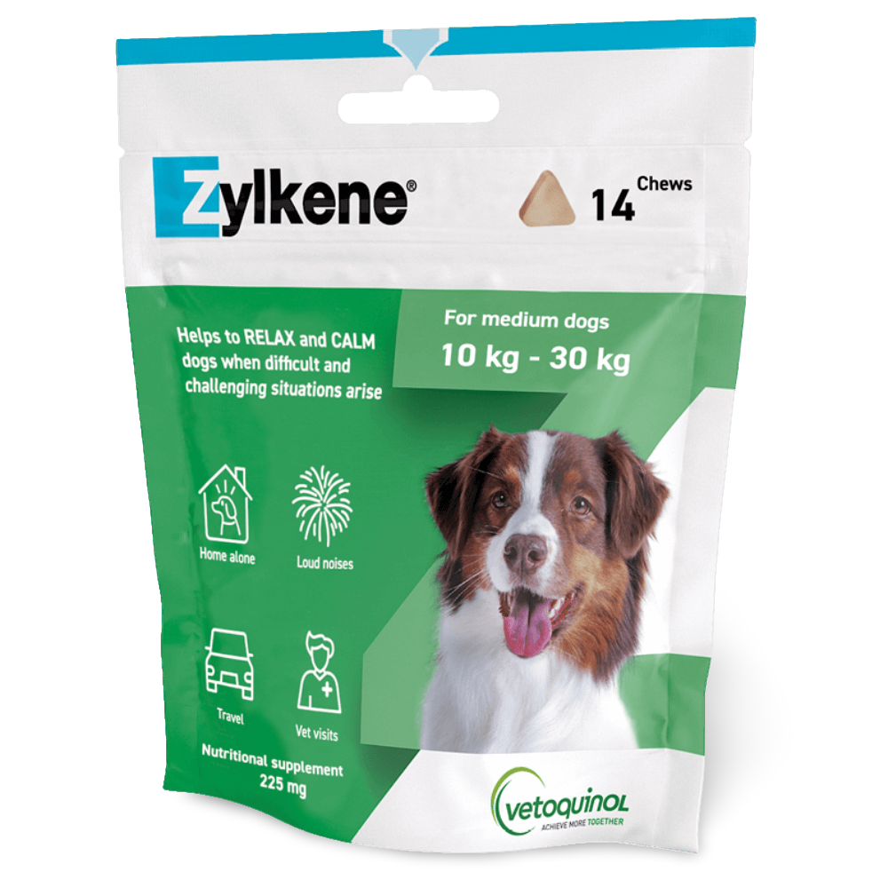 Calming Chews For Medium Dogs