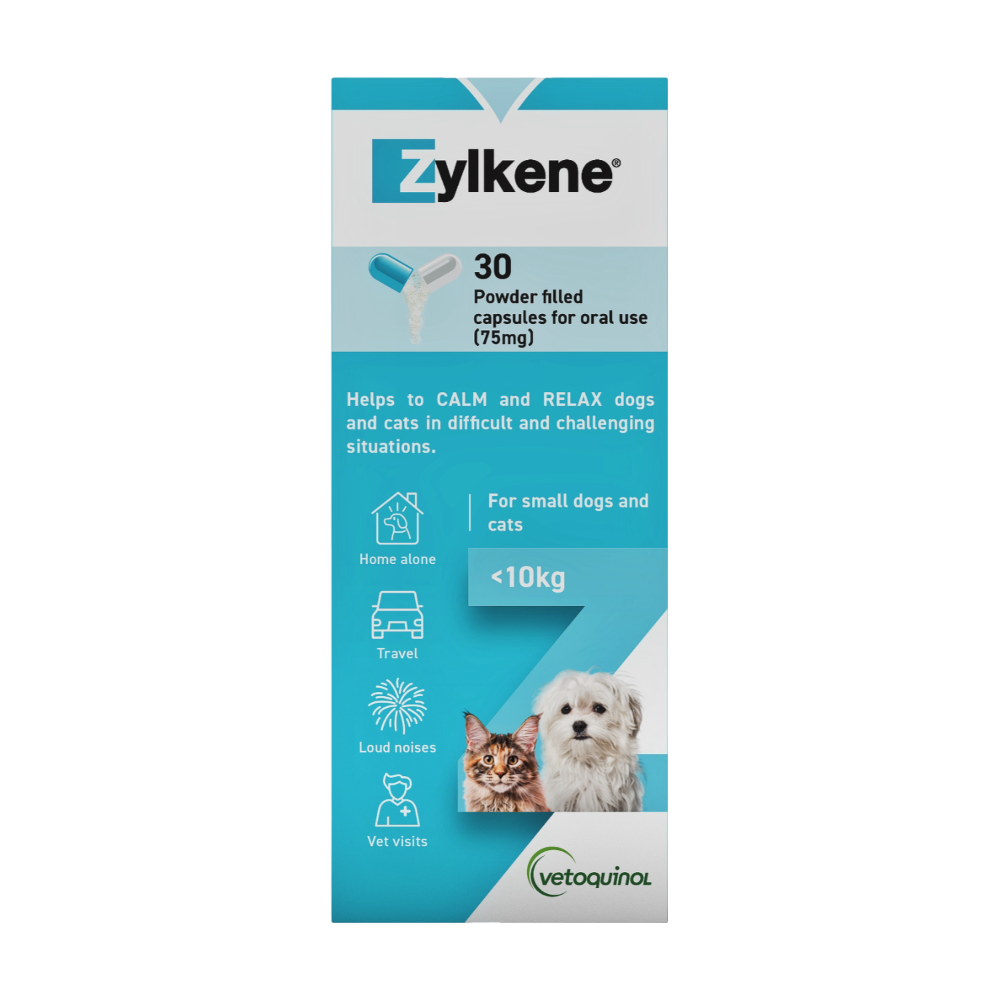 Calming Supplement For Small Dogs And Cats