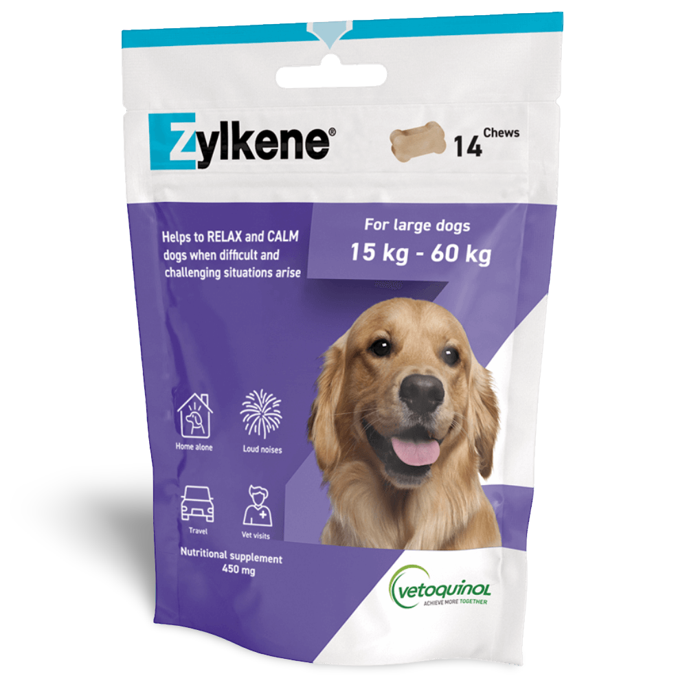 Calming Chews For Large Dogs