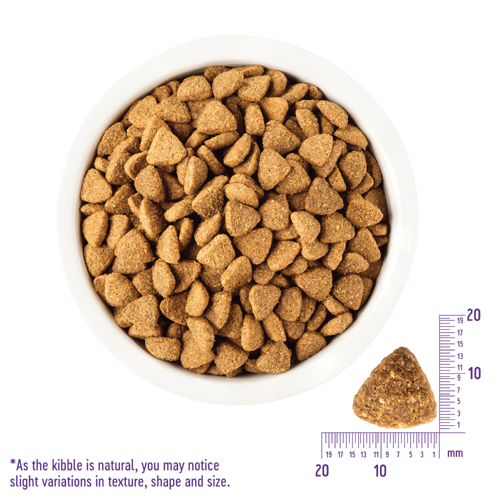 Core Natural Grain Free Dry Dog Food Large Breed 1 Core Natural Grain Free Dry Dog Food Large Breed