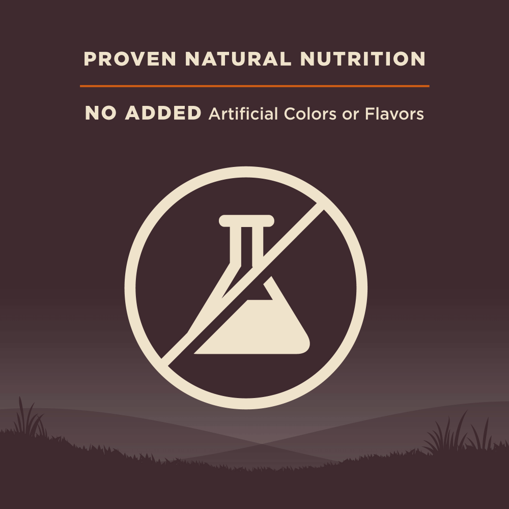 Core Natural Grain Free Dry Dog Food Large Breed 4 Core Natural Grain Free Dry Dog Food Large Breed