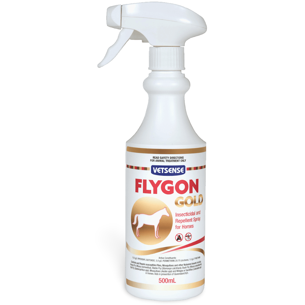 Flygon Gold For Horses