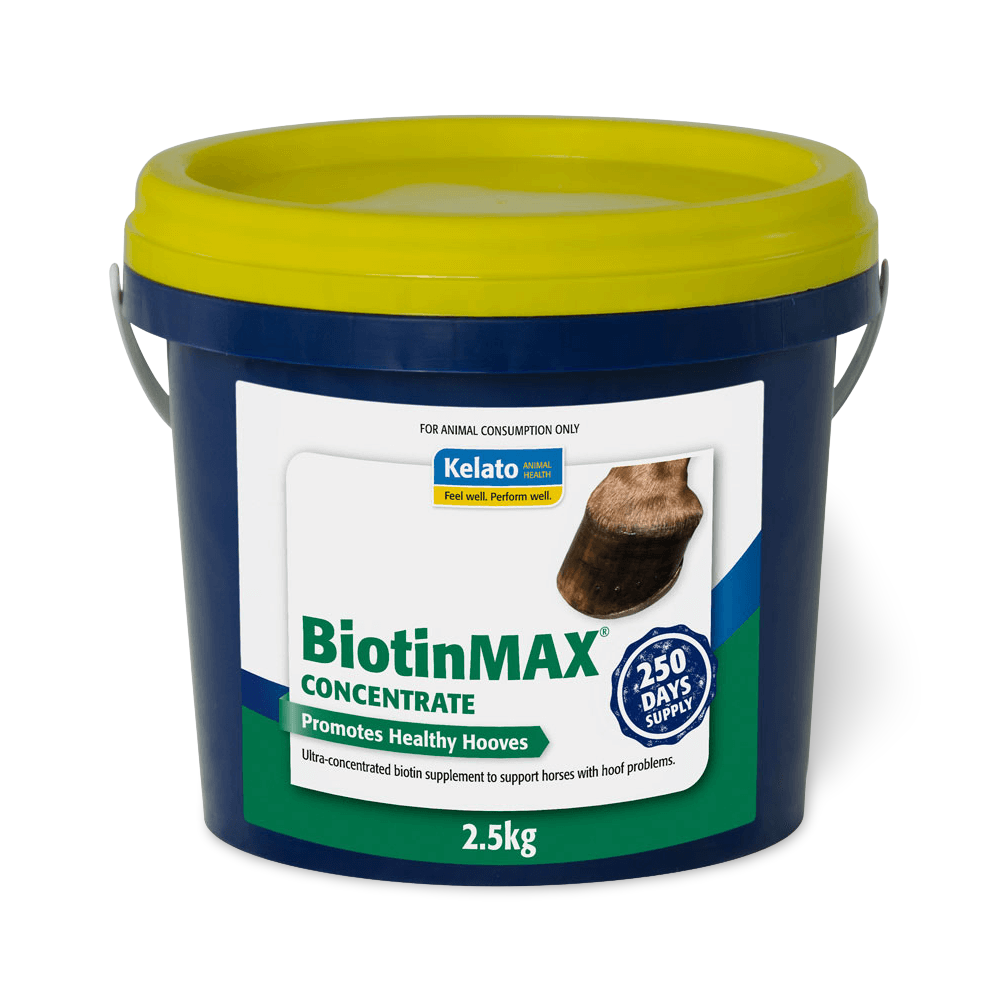 Biotinmax Concentrate 1 Biotinmax Concentrate
