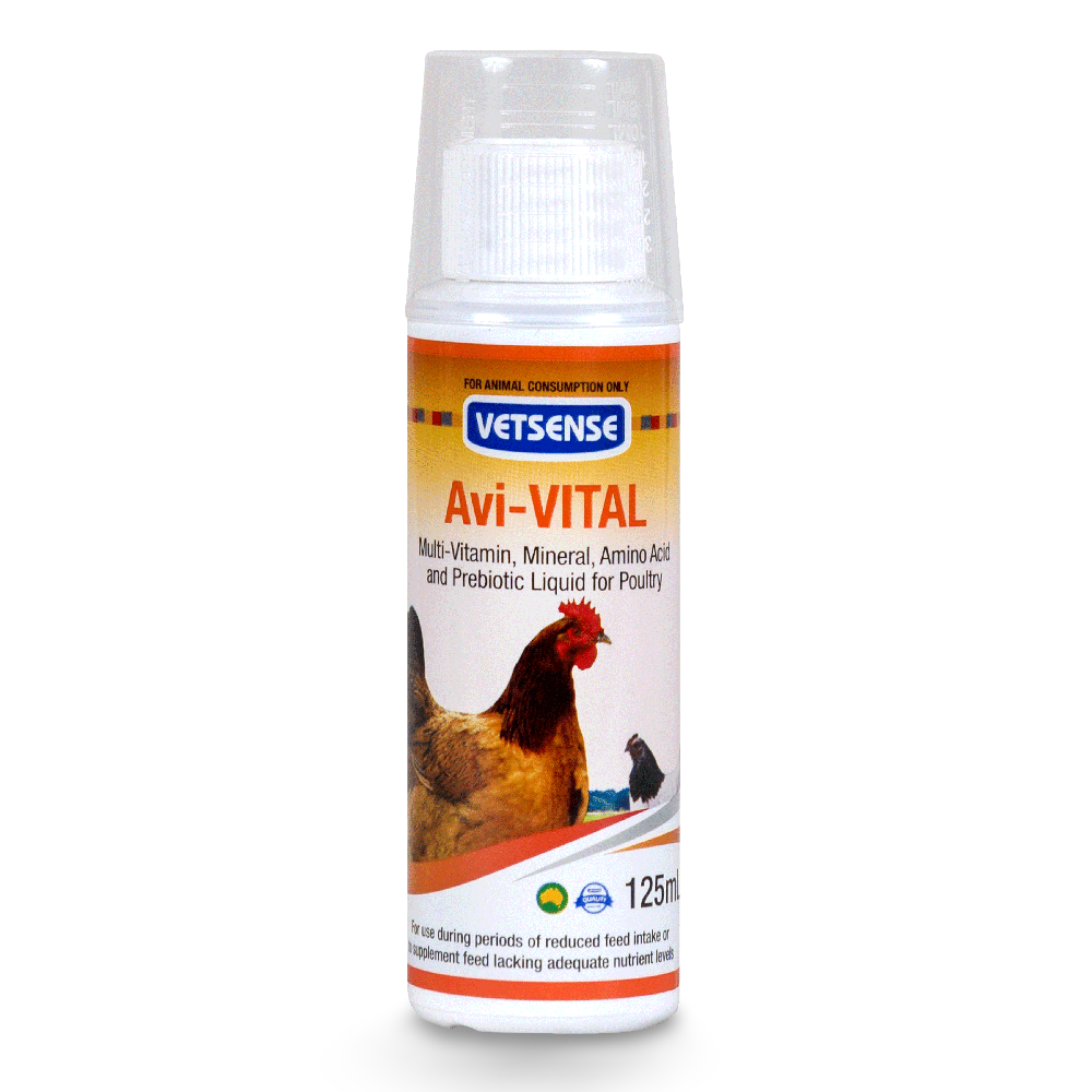 Avi Vital