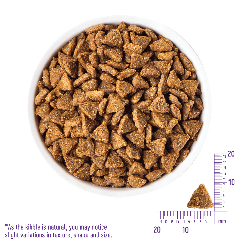 Core Natural Grain Free Dry Dog Food Small Breed 1 Core Natural Grain Free Dry Dog Food Small Breed