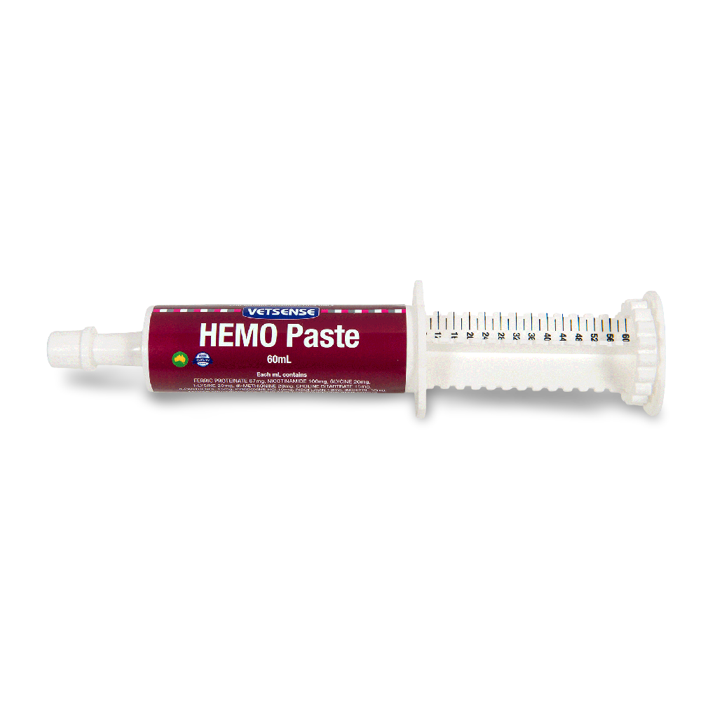 Hemo Paste 1 Hemo Paste