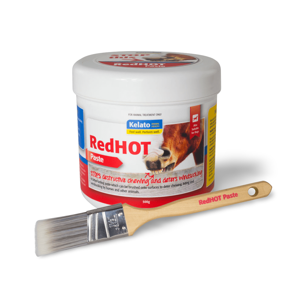 Red Hot Paste