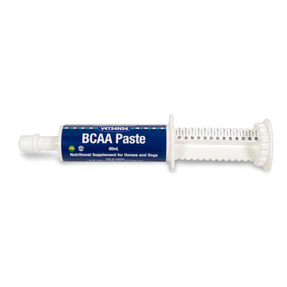 Bcaa Recovery Paste