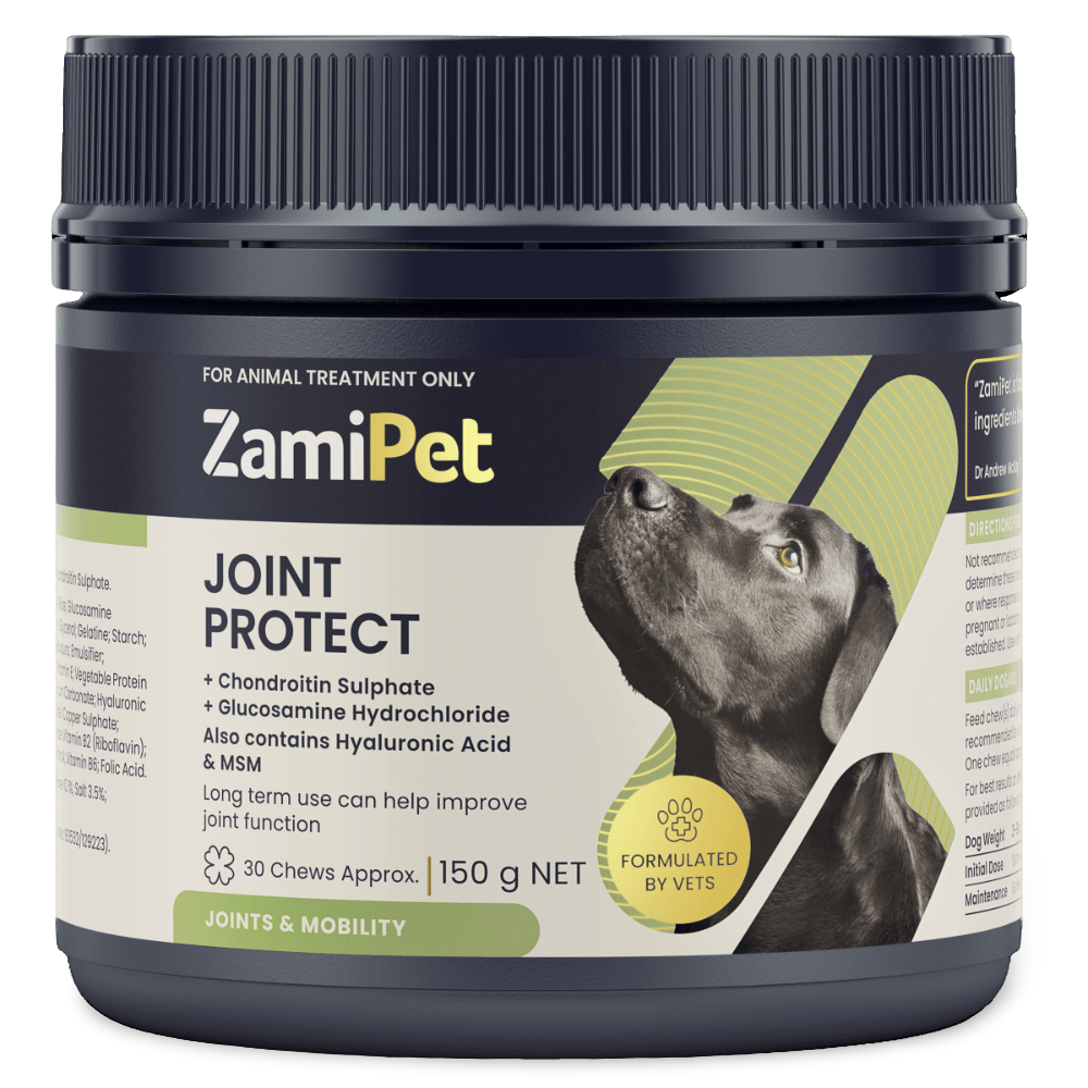 Joint Protect Chews for Dogs 1 Joint Protect Chews for Dogs