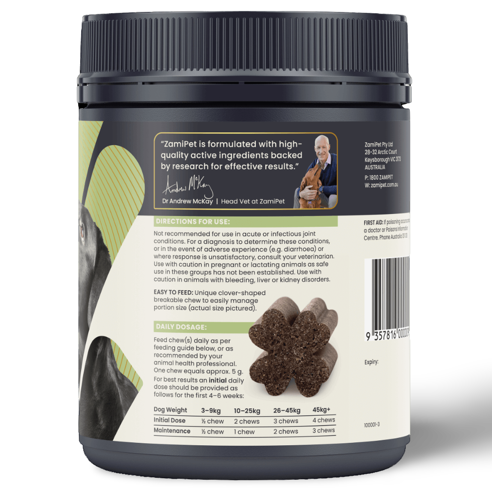 Joint Protect Chews for Dogs 10 Joint Protect Chews for Dogs