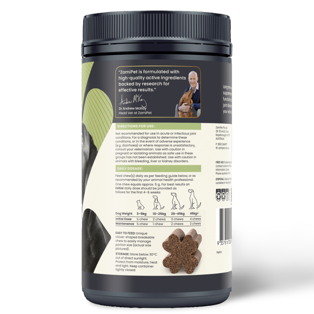 Joint Protect Chews for Dogs 12 Joint Protect Chews for Dogs