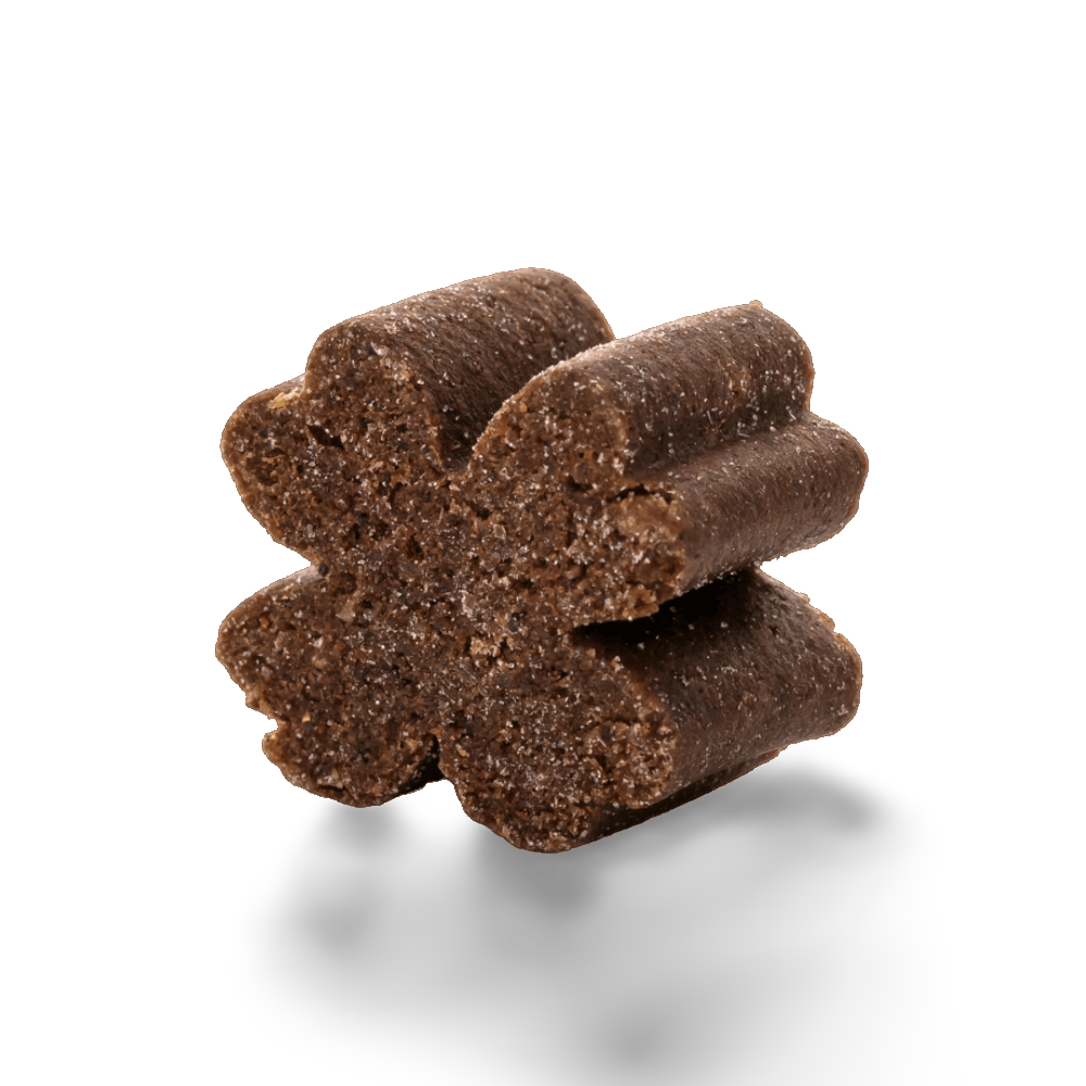 Joint Protect Chews for Dogs 2 Joint Protect Chews for Dogs