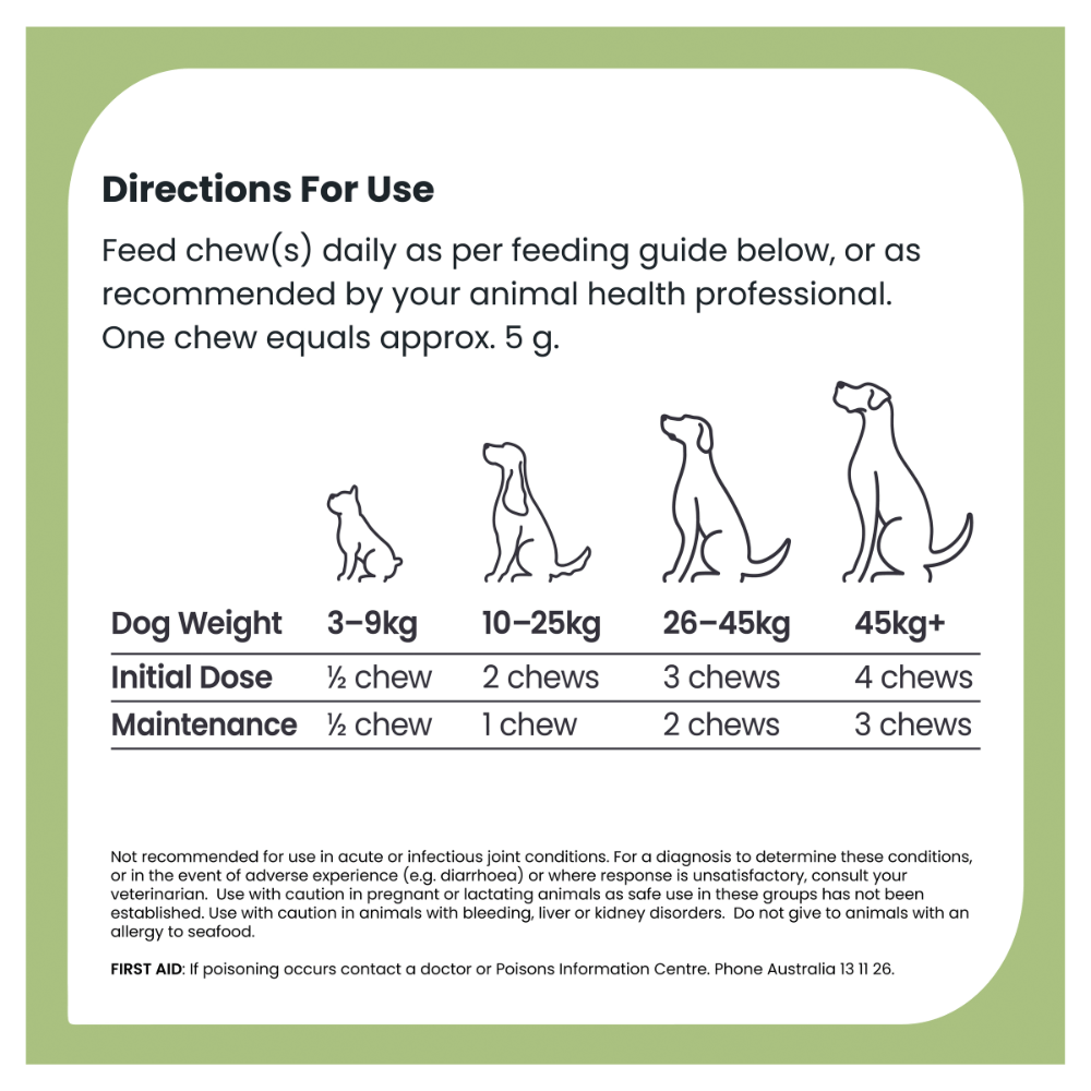 Joint Protect Chews for Dogs 6 Joint Protect Chews for Dogs