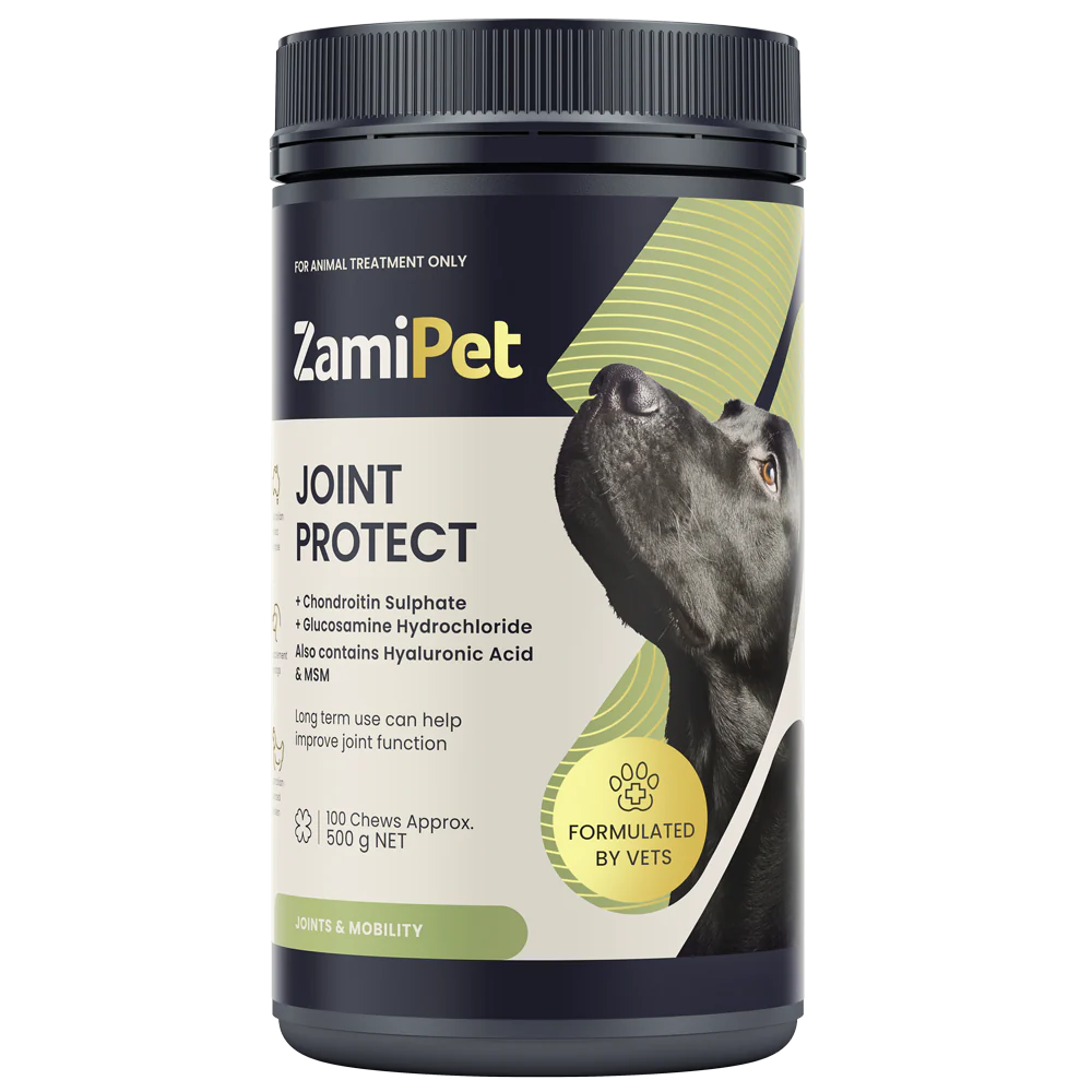 Joint Protect Chews for Dogs 8 Joint Protect Chews for Dogs