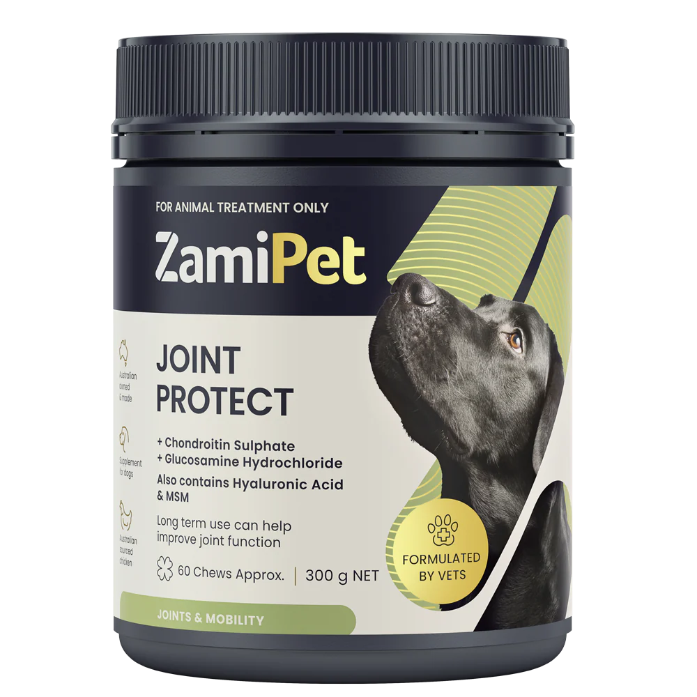 Joint Protect Chews for Dogs 9 Joint Protect Chews for Dogs