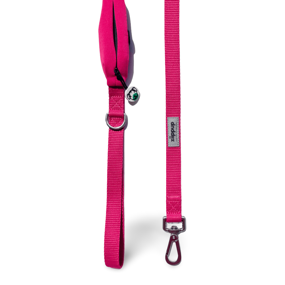 Pink Dog Lead With Poo Bag Holder 2 Pink Dog Lead With Poo Bag Holder