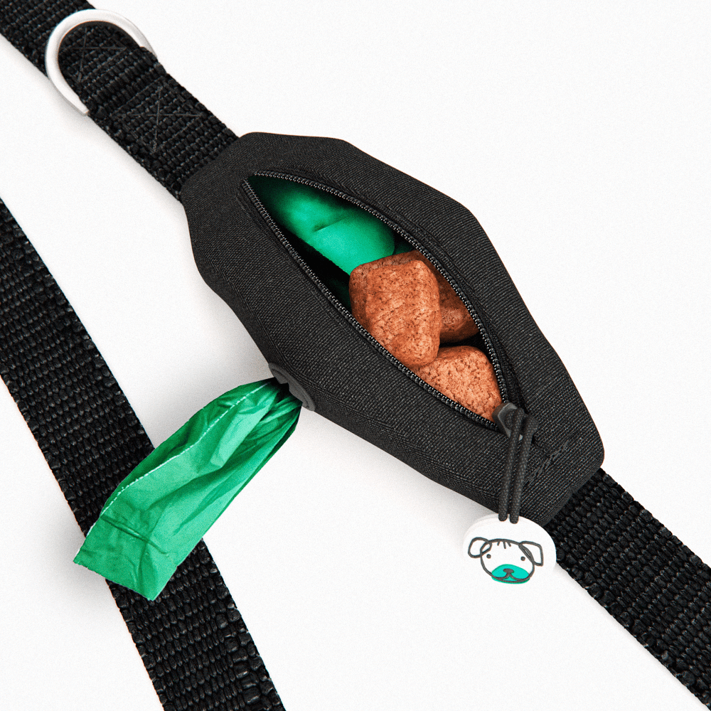 Pink Dog Lead With Poo Bag Holder 3 Pink Dog Lead With Poo Bag Holder