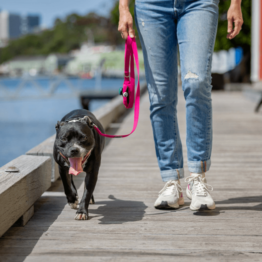 Pink Dog Lead With Poo Bag Holder 7 Pink Dog Lead With Poo Bag Holder