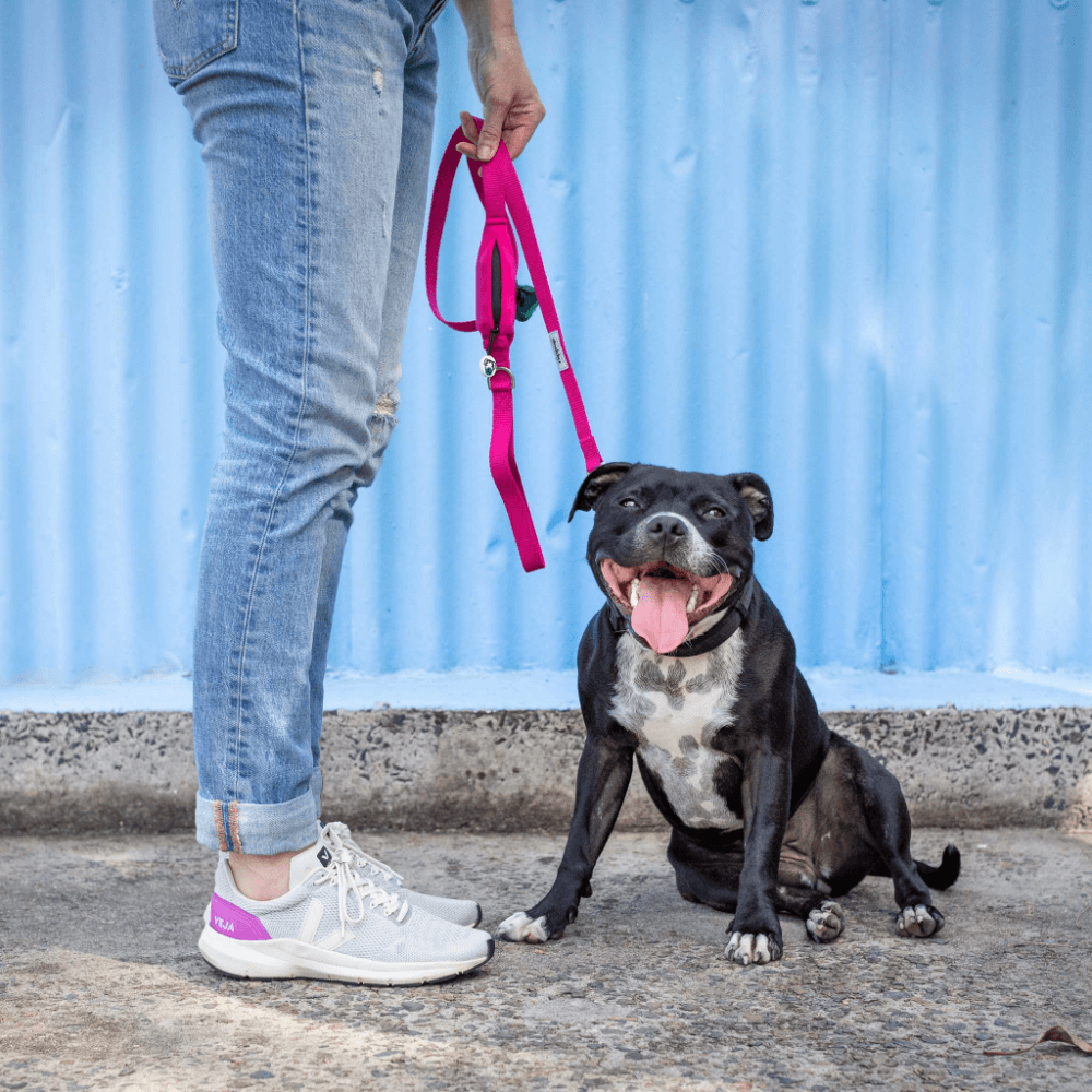 Pink Dog Lead With Poo Bag Holder 8 Pink Dog Lead With Poo Bag Holder