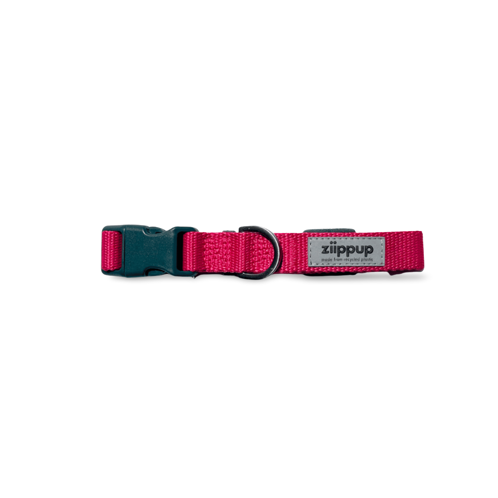 Pink Dog Collar 1 Pink Dog Collar