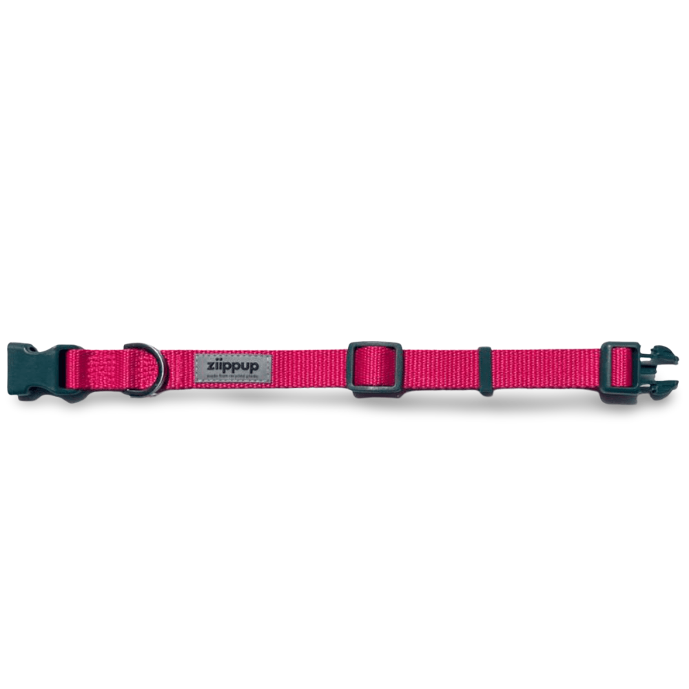 Pink Dog Collar 2 Pink Dog Collar