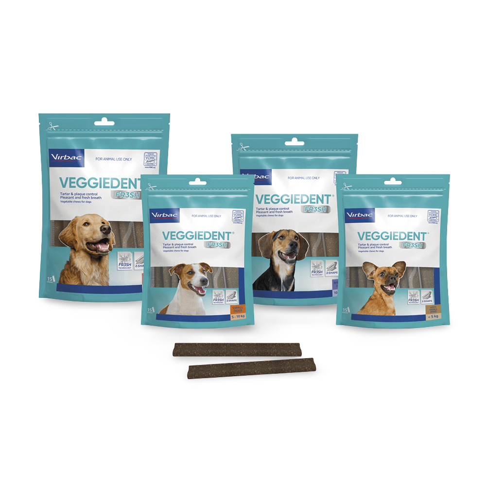 Small Dog Dental Treats 3 Small Dog Dental Treats