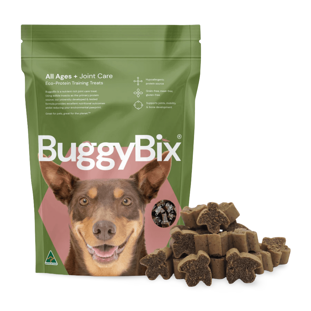 All Ages Joint Care Eco Insect Protein Dog Training Treats