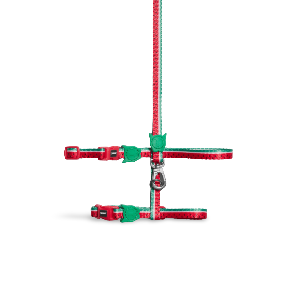 Harness And Leash Set Lola