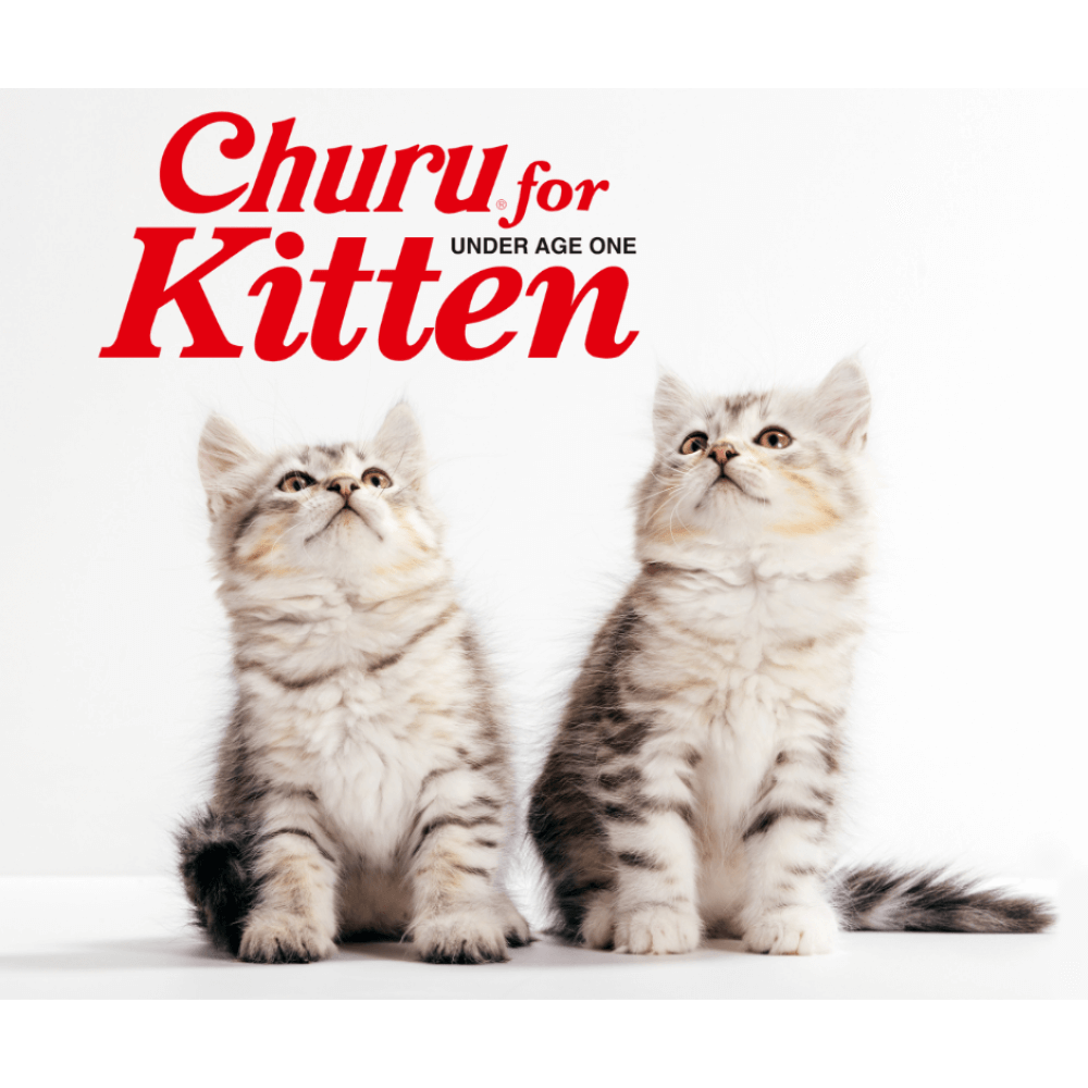 Churu Chicken Recipe Kitten Cat Treats 3 Churu Chicken Recipe Kitten Cat Treats