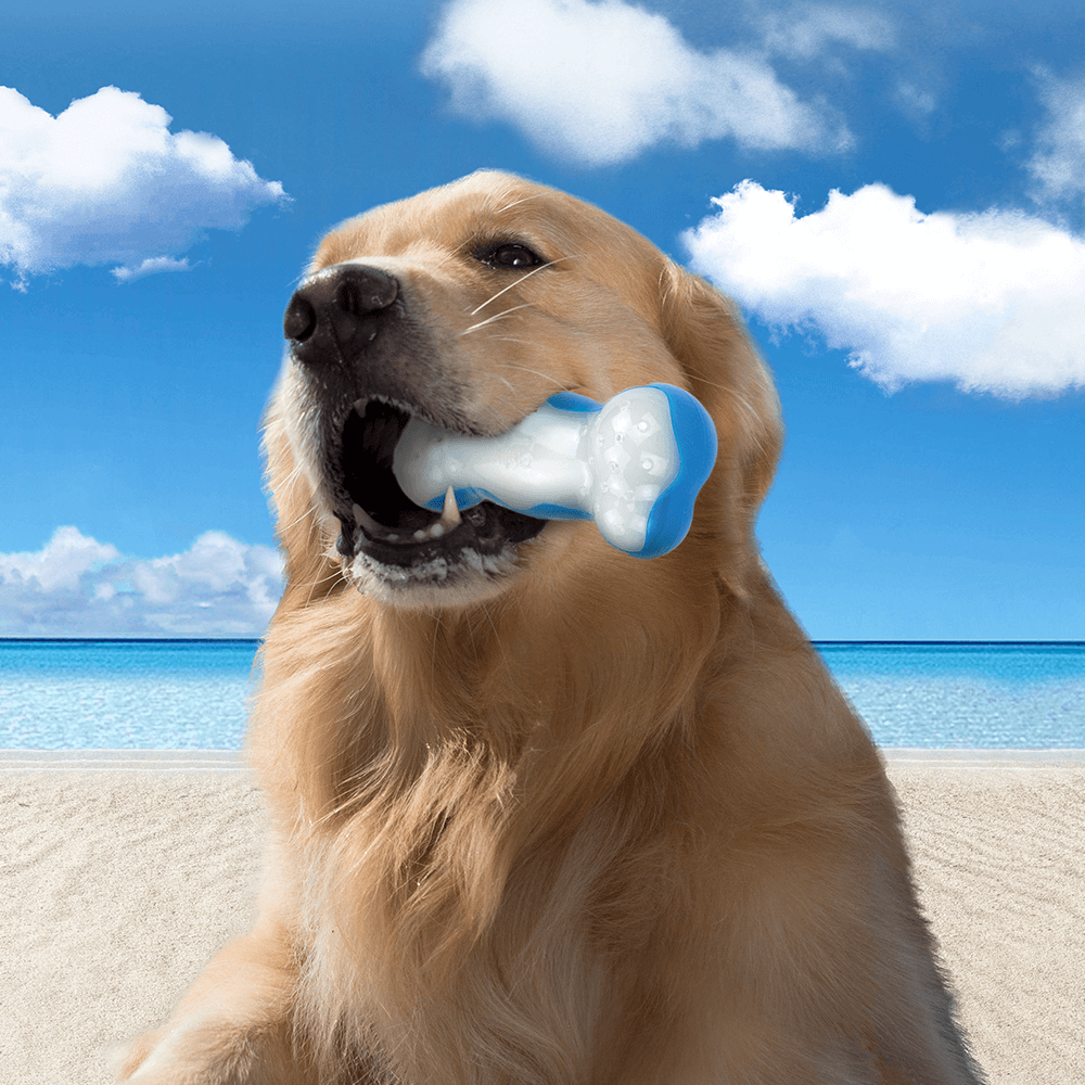 Afp Chill Out Ice Bone 7 Afp Chill Out Ice Bone