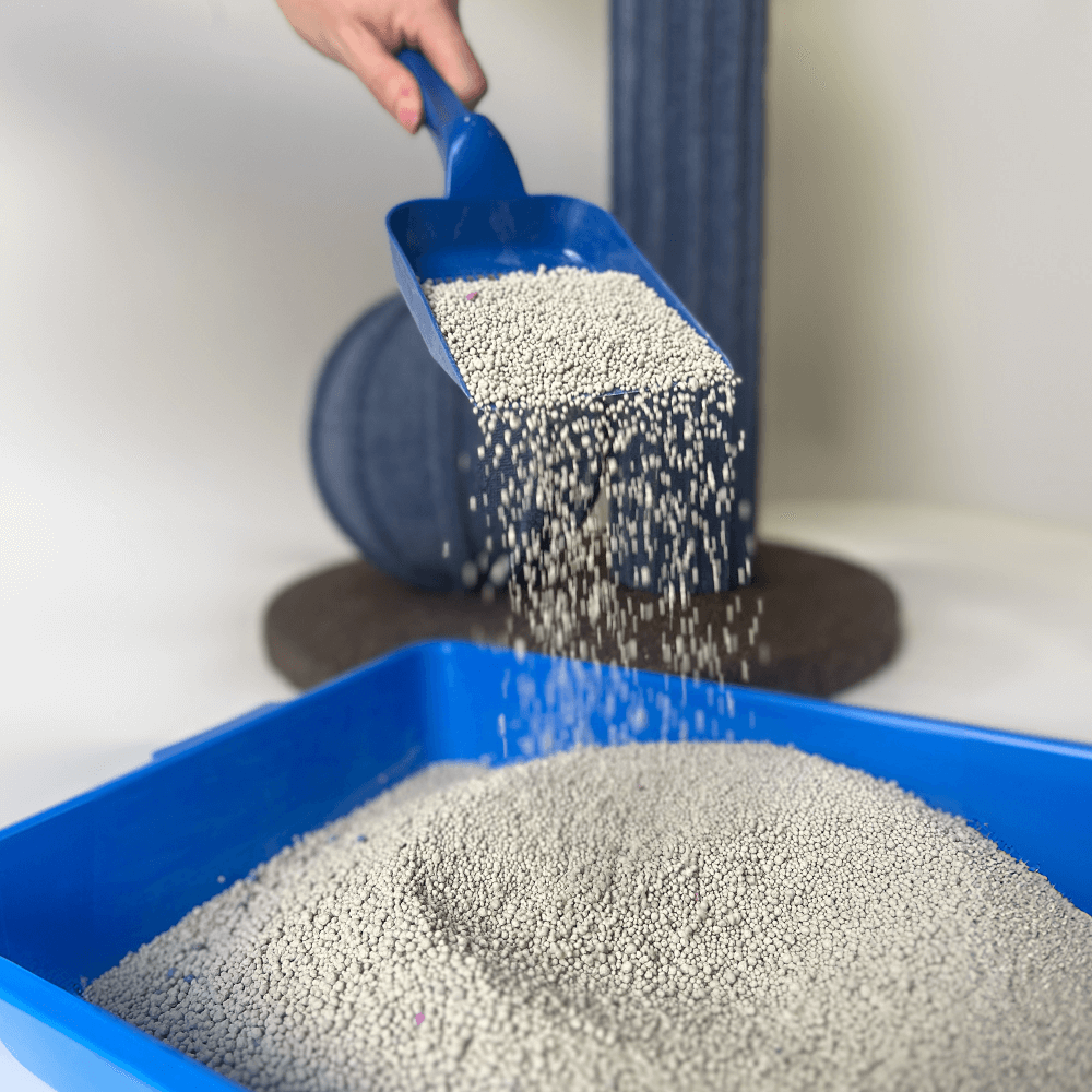 Litter Clumping Lavender 5 Litter Clumping Lavender
