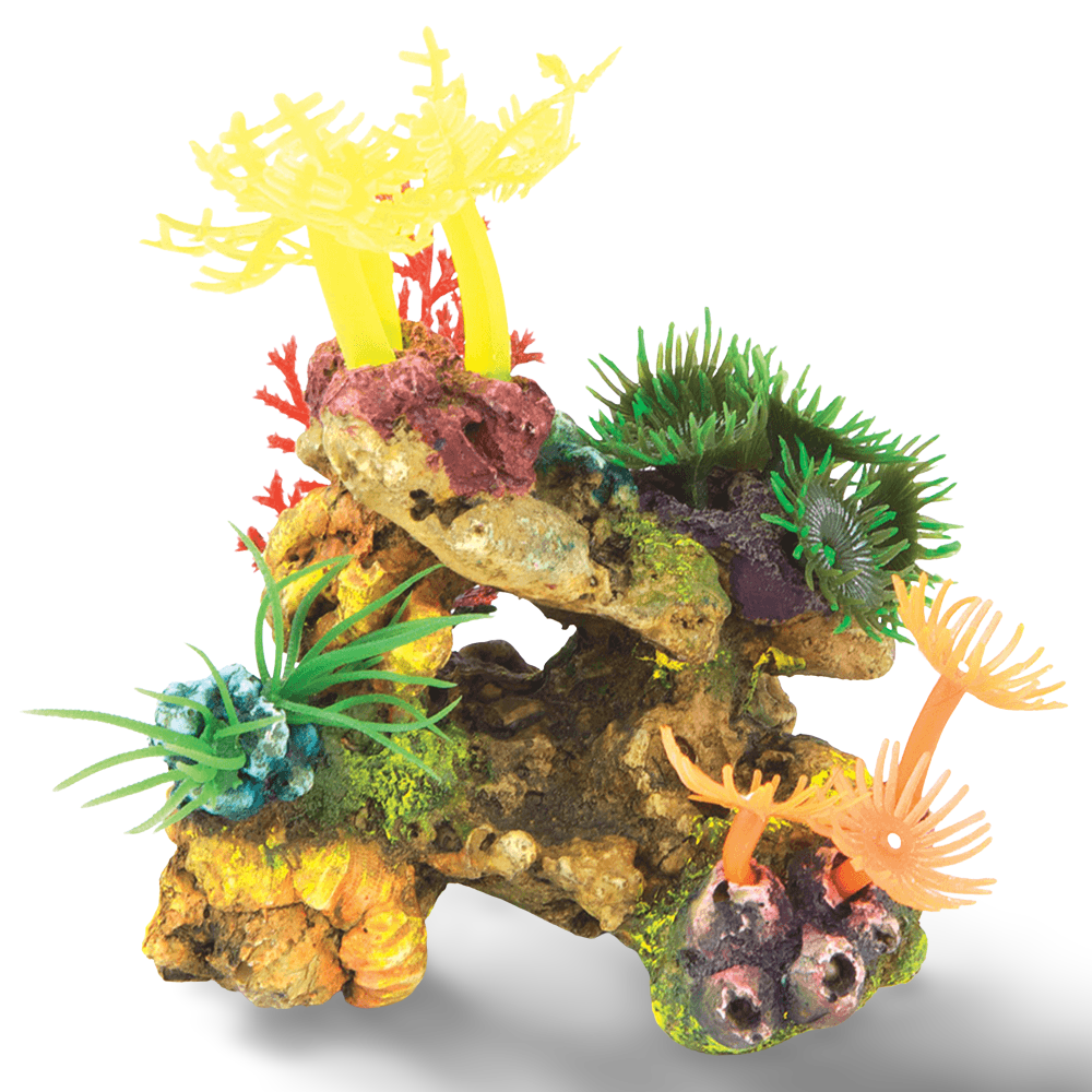 Soft Coral With Plants