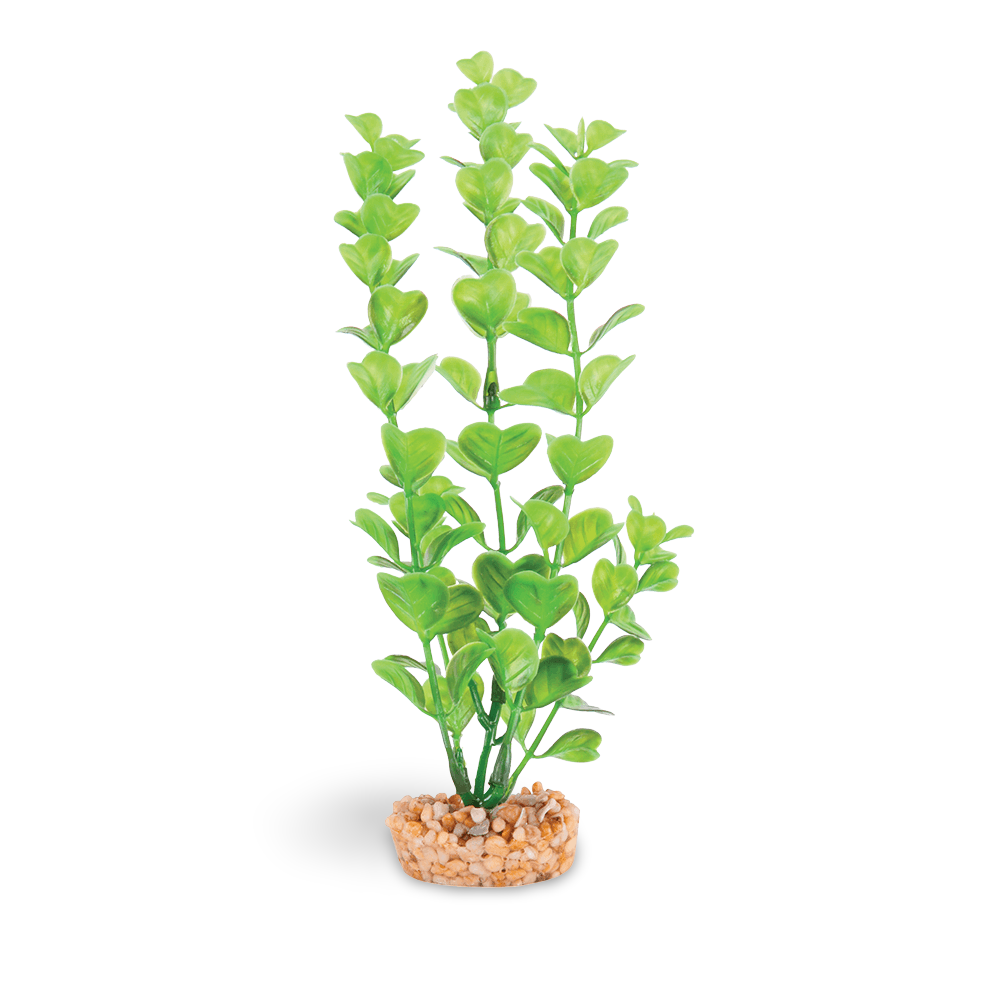 Plastic Plant Medium Leaf Green