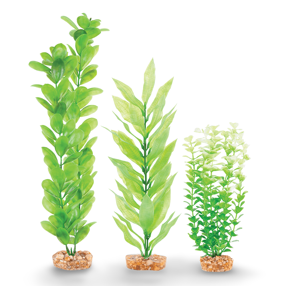 Plastic Plant Multipack Two