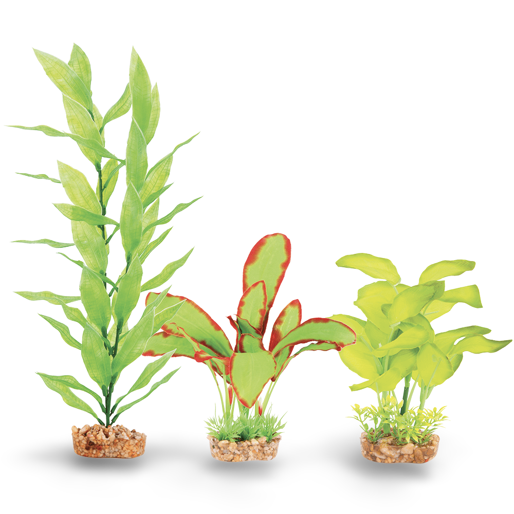Silk Plant Multipack Two