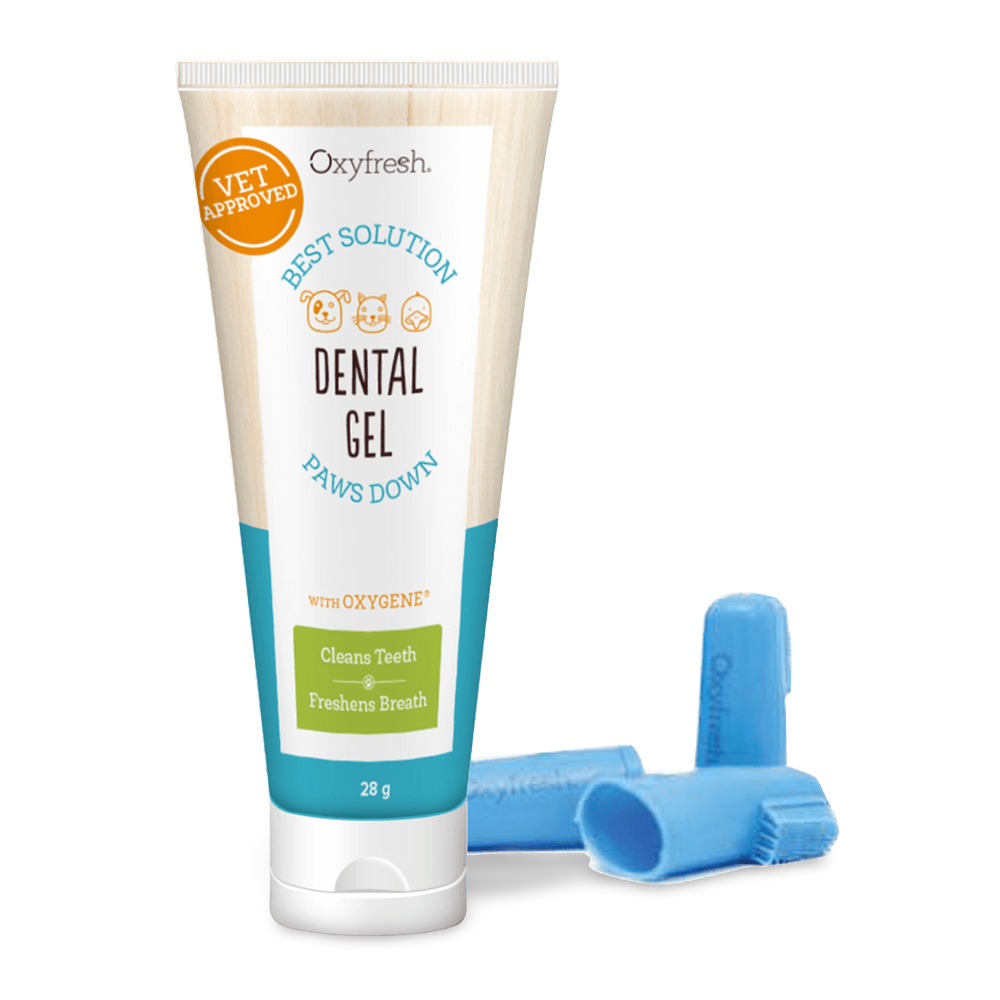 Dental Gel And Finger Brush Kit For Cats And Dogs