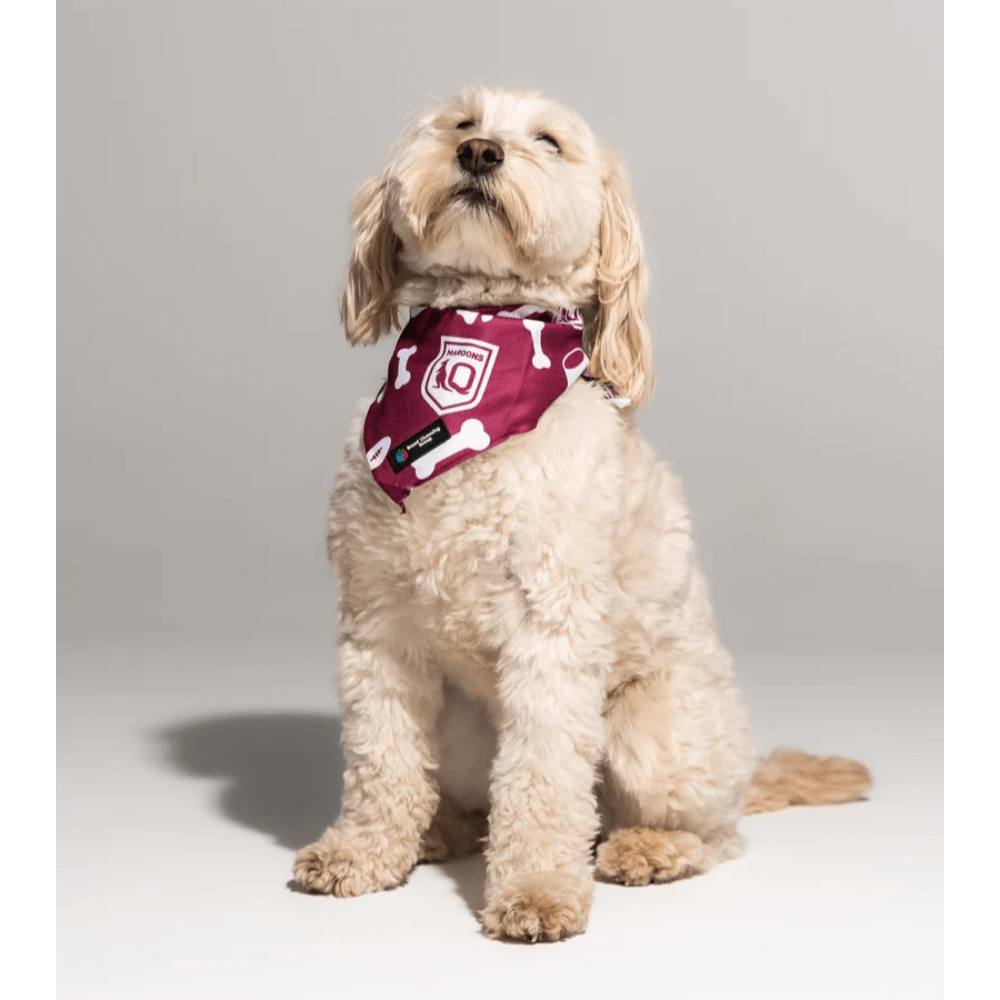 Afl Hawthorn Hawks Dog Bandana 2 Afl Hawthorn Hawks Dog Bandana