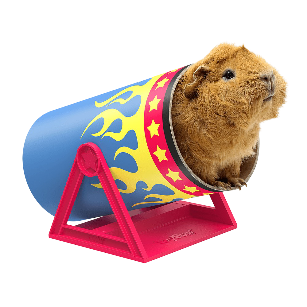 Cavy Cannonball Tilting Tunnel for Guinea Pigs