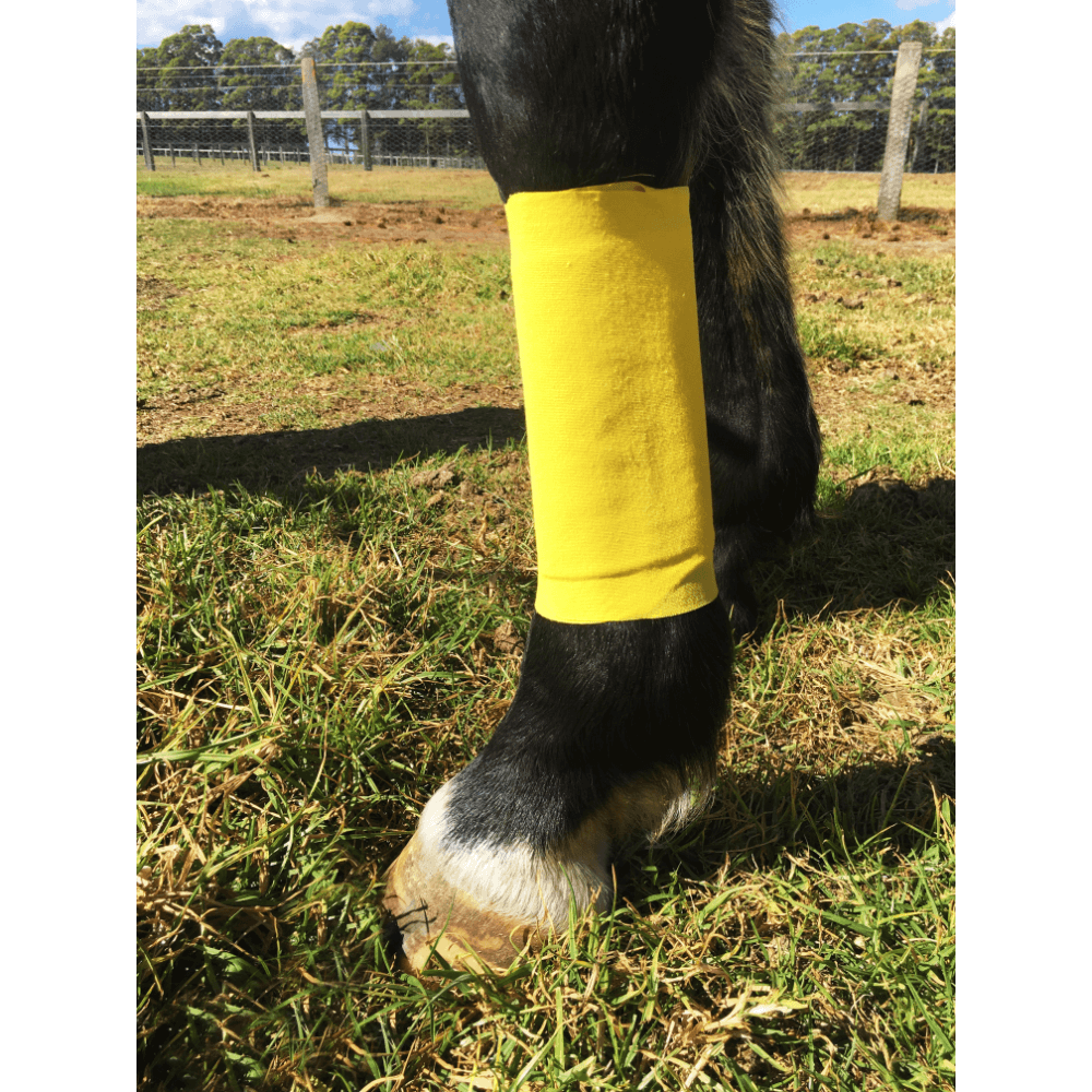 Essential Wrap Patch Horse Bandage 4 Essential Wrap Patch Horse Bandage